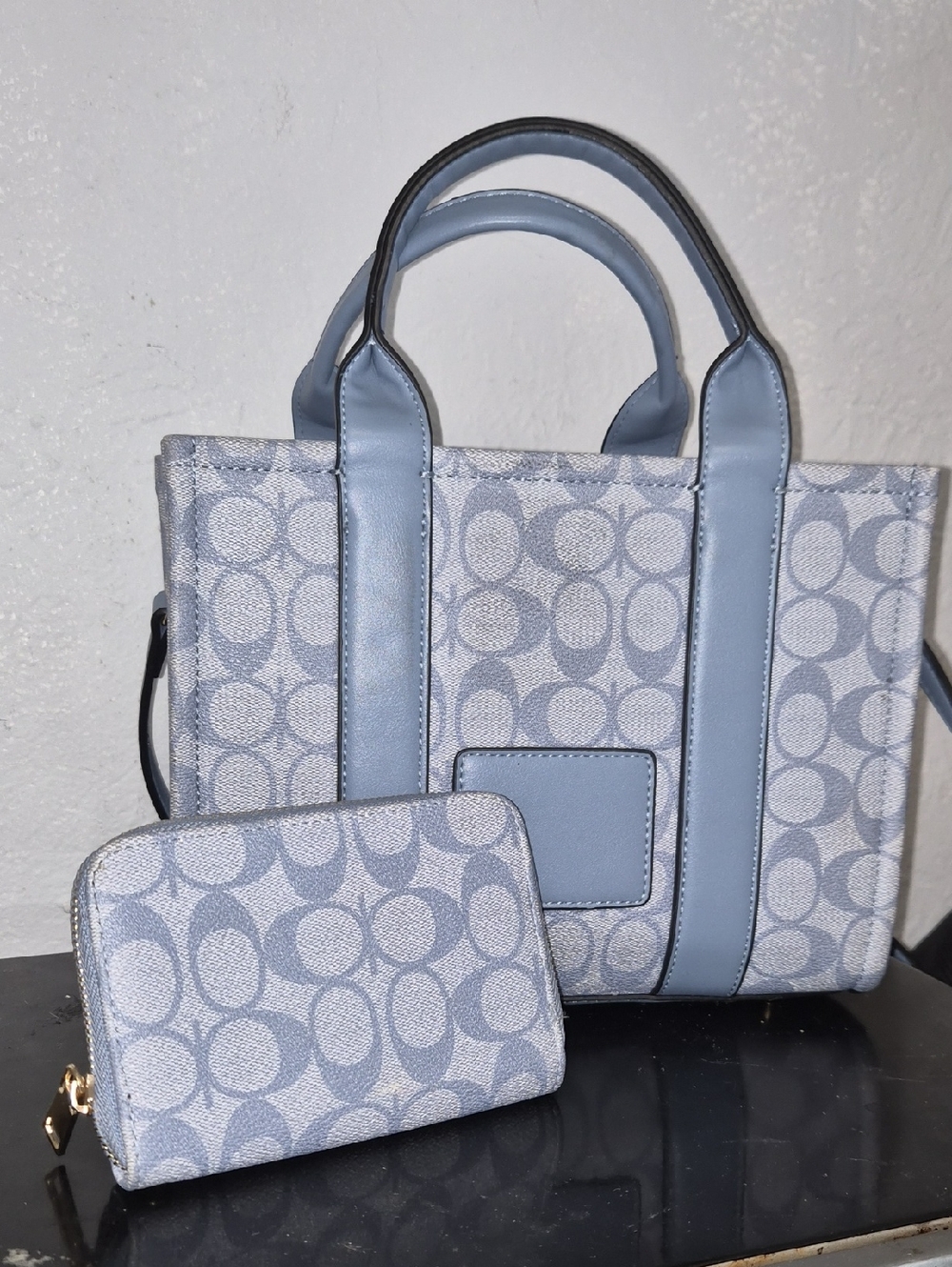 Light Blue Signature Canvas Mini Tote with Matching Wallet